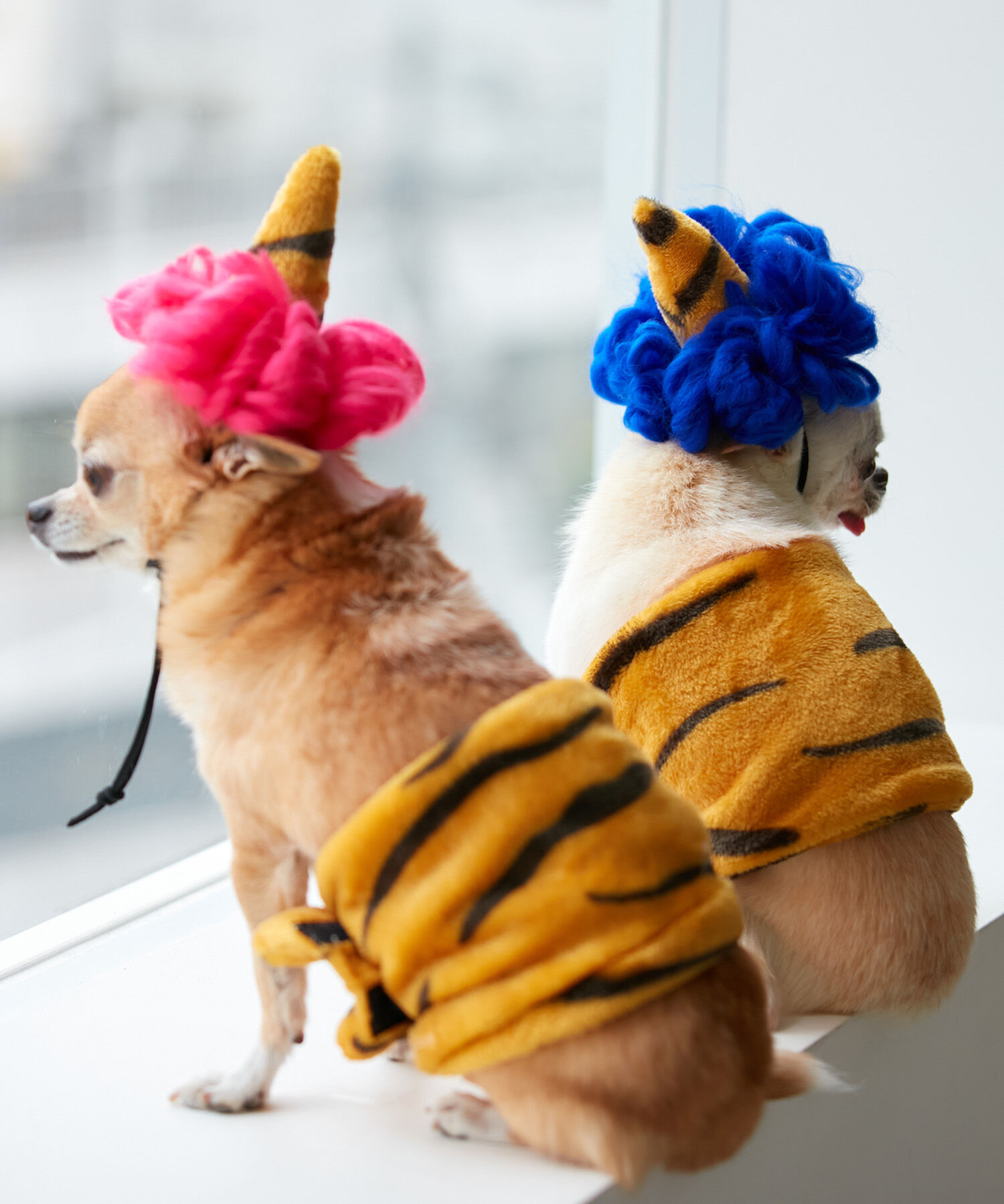 ROPE PICNIC PASSAGE「【DOG】小鬼コスチューム 節分」|その他|