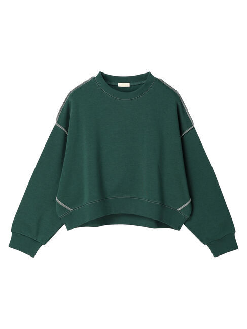 earth music&ecology「配色ステッチウラキモウプルオーバー」|Tシャツ・カットソー|