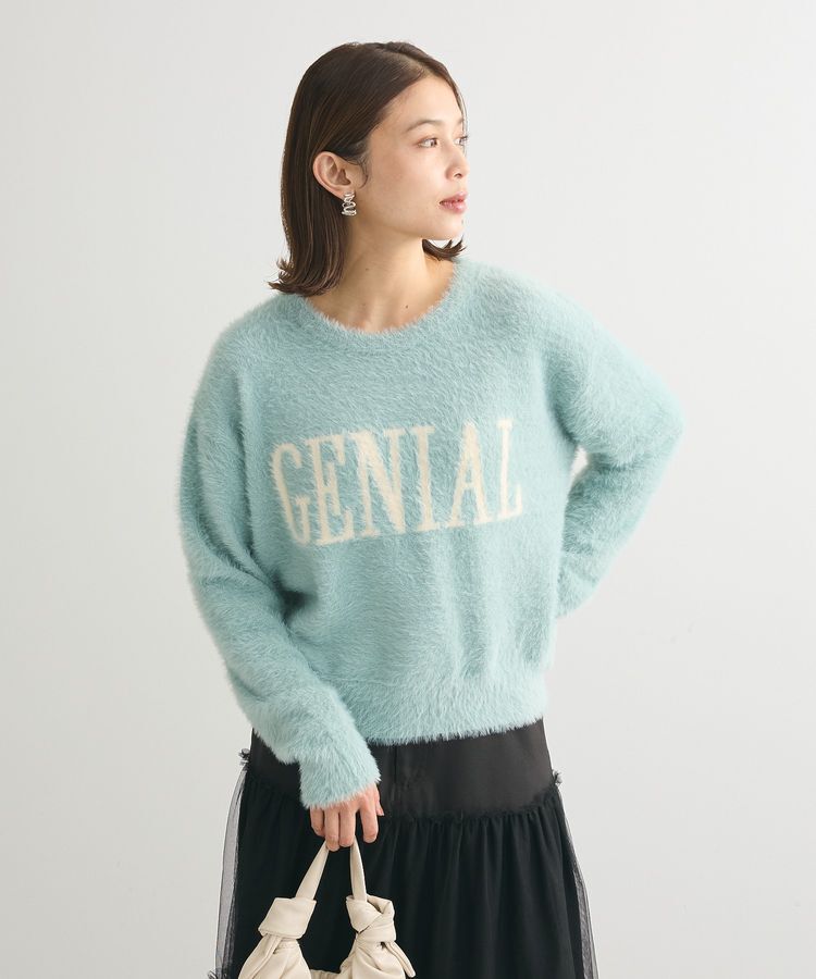 Green Parks「シャギーロゴニットプルオーバー」|ニット・セーター|