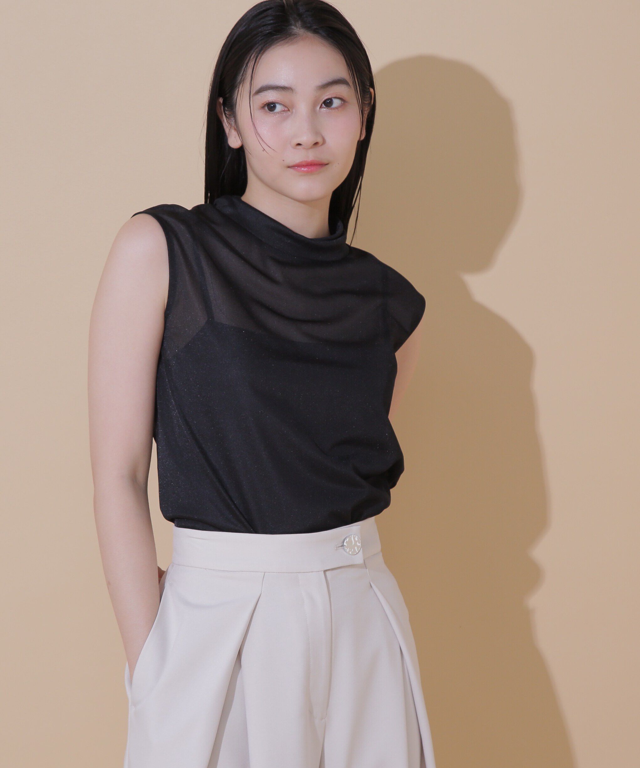  「◆シアーハイネックカットトップス」|Tシャツ・カットソー|ブラック