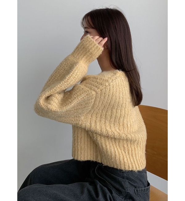 dazzlin「ブレンドカラークロップドニットトップス」|ニット・セーター|