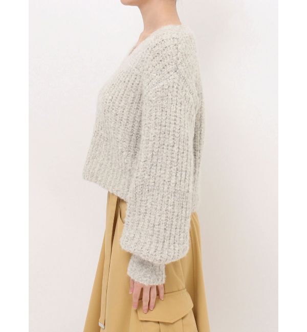 dazzlin「ブレンドカラークロップドニットトップス」|ニット・セーター|