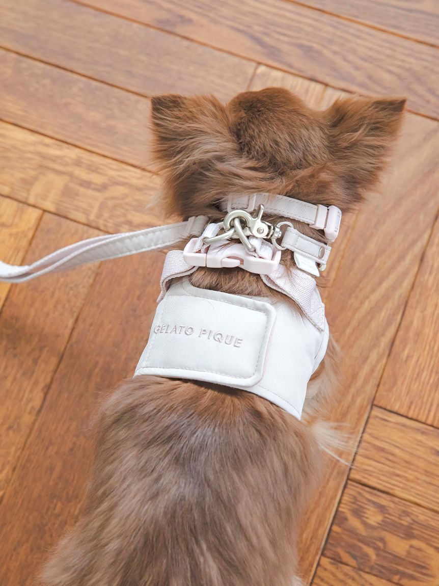  GELATO PIQUE CAT&DOG「【CAT&DOG】【販路限定商品】リード」|その他|