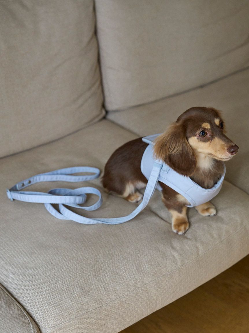  GELATO PIQUE CAT&DOG「【CAT&DOG】【販路限定商品】リード」|その他|