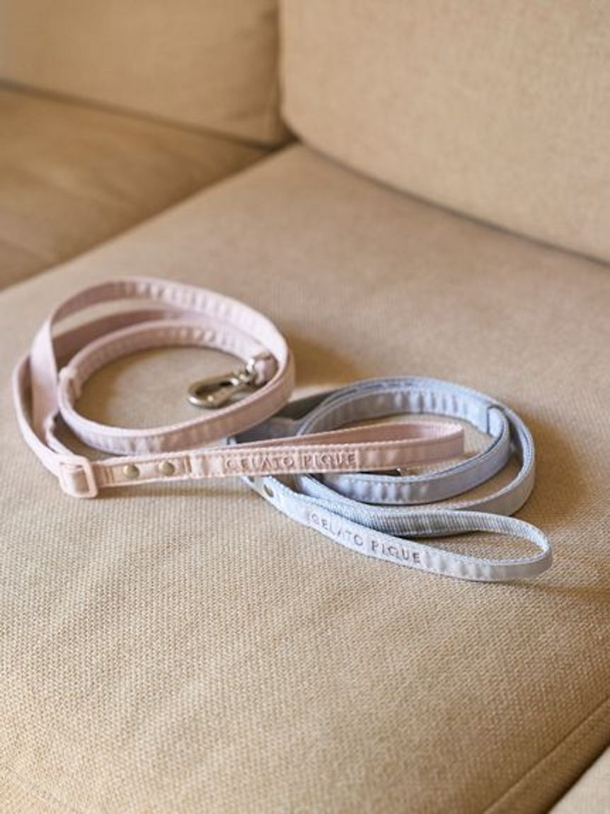  GELATO PIQUE CAT&DOG「【CAT&DOG】【販路限定商品】リード」|その他|