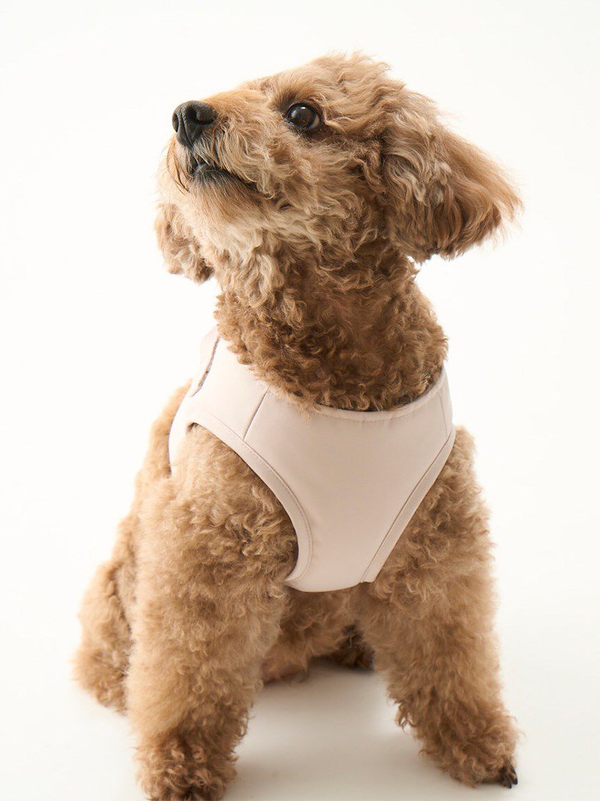  GELATO PIQUE CAT&DOG「【CAT&DOG】【販路限定商品】ハーネス」|その他|
