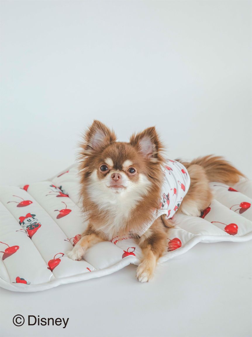  GELATO PIQUE CAT&DOG「【CAT&DOG】【販路限定商品】Minnie/COOLマット」|その他|