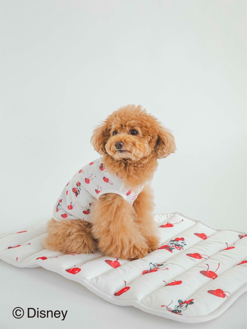  GELATO PIQUE CAT&DOG「【CAT&DOG】【販路限定商品】Minnie/COOLマット」|その他|