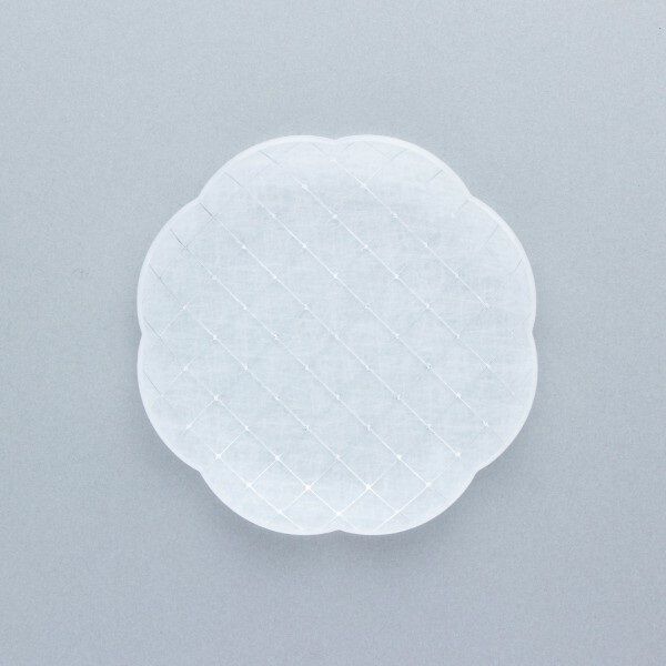  「箔マメザラ／コウシ＆キカガク　２枚セット／ｔｏｕｍｅｉ」|食器・キッチングッズ|