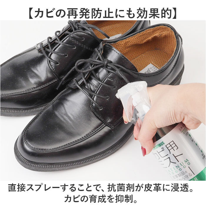 BACKYARD FAMILY「防カビ スプレー 革用 通販 コロンブス レザーキュア カビ用ミスト レザーケア シューケア」|シューケア|