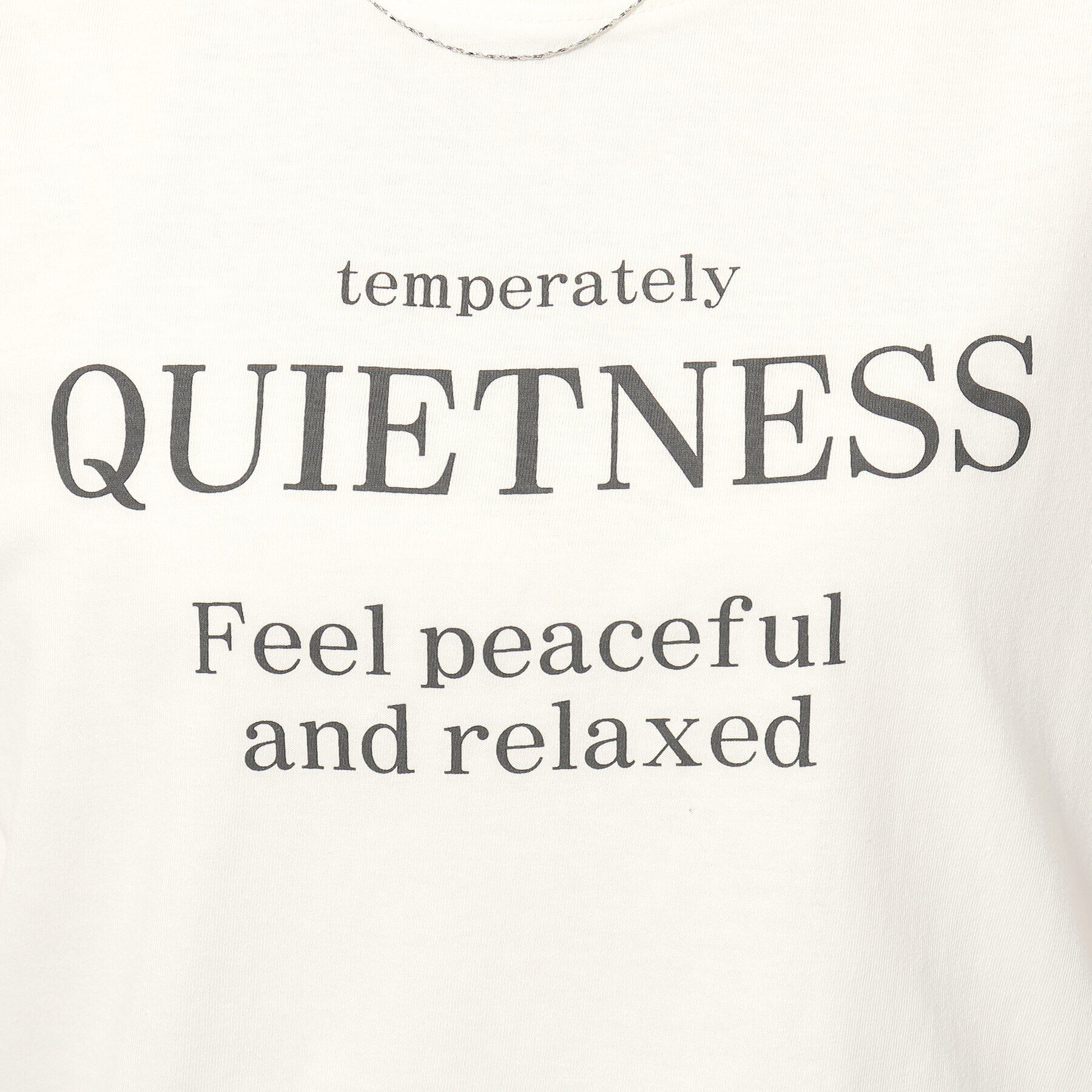 SHOO･LA･RUE「【洗える/プチプラ】プリントTシャツ」|Tシャツ・カットソー|