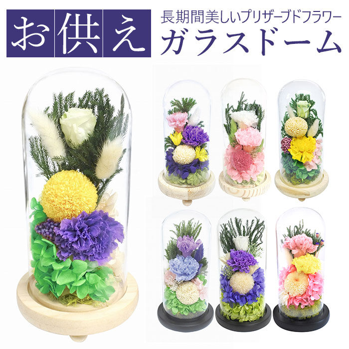 BACKYARD FAMILY「プリザーブドフラワー 仏花 通販 お供えガラスドーム 光莉 ひかり お供え物 おしゃれ 枯れない」|その他|