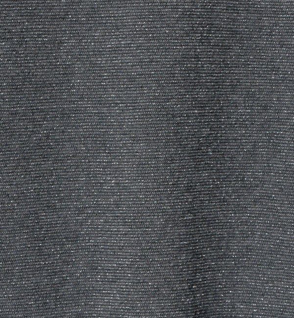 UNITED ARROWS「ラメ テンジク ロングスリーブ カットソー」|Tシャツ・カットソー|