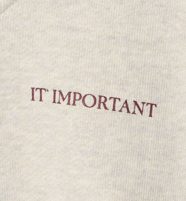 BEAUTY&YOUTH UNITED ARROWS「【別注】＜Americana＞ジップ ショートスリーブ スウェットプルオーバー」|スウェット・ジャージ|