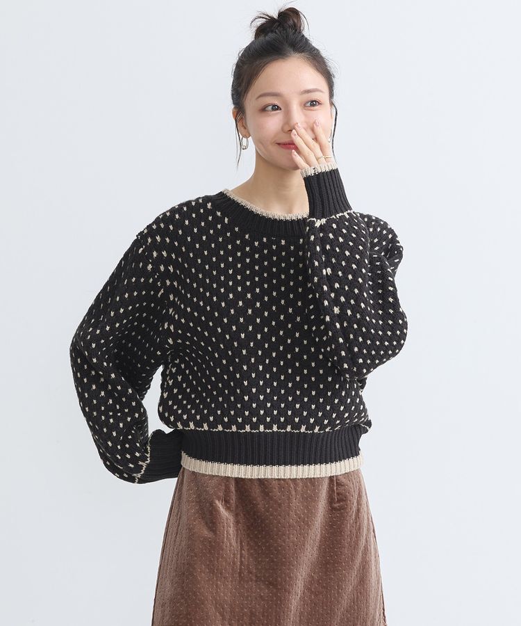 earth music&ecology「ポコポコジャガードニットプルオーバー」|ニット・セーター|