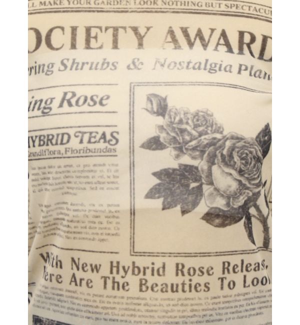 jouetie「セカンドスキントップス」|Tシャツ・カットソー|