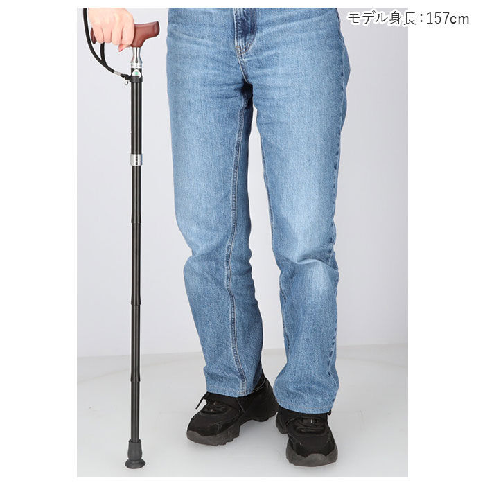 BACKYARD FAMILY「杖 折りたたみ 通販 愛杖 Eシリーズ 折りたたみタイプ ステッキ つえ ツエ ケイホスピア」|その他|