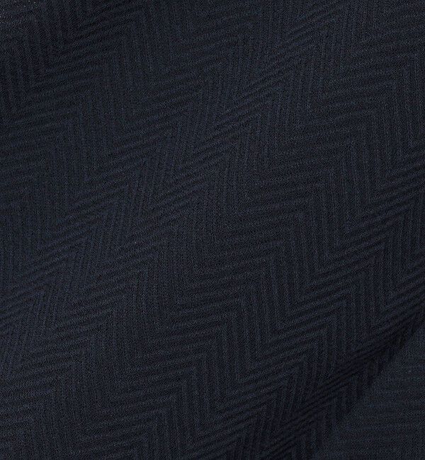 SHIPS Colors 「SHIPS Colors:〈洗濯機可能〉ジャージー ショートスリーブ シアーシャツ◇」|シャツ・ブラウス|