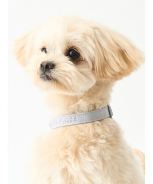 GELATO PIQUE CAT&DOG「【CAT&DOG】【販路限定商品】首輪」|その他|