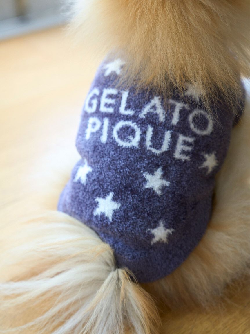  GELATO PIQUE CAT&DOG「【CAT&DOG】スター柄ノースリーブプルオーバー」|その他|