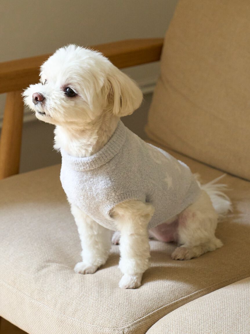  GELATO PIQUE CAT&DOG「【CAT&DOG】スター柄ノースリーブプルオーバー」|その他|