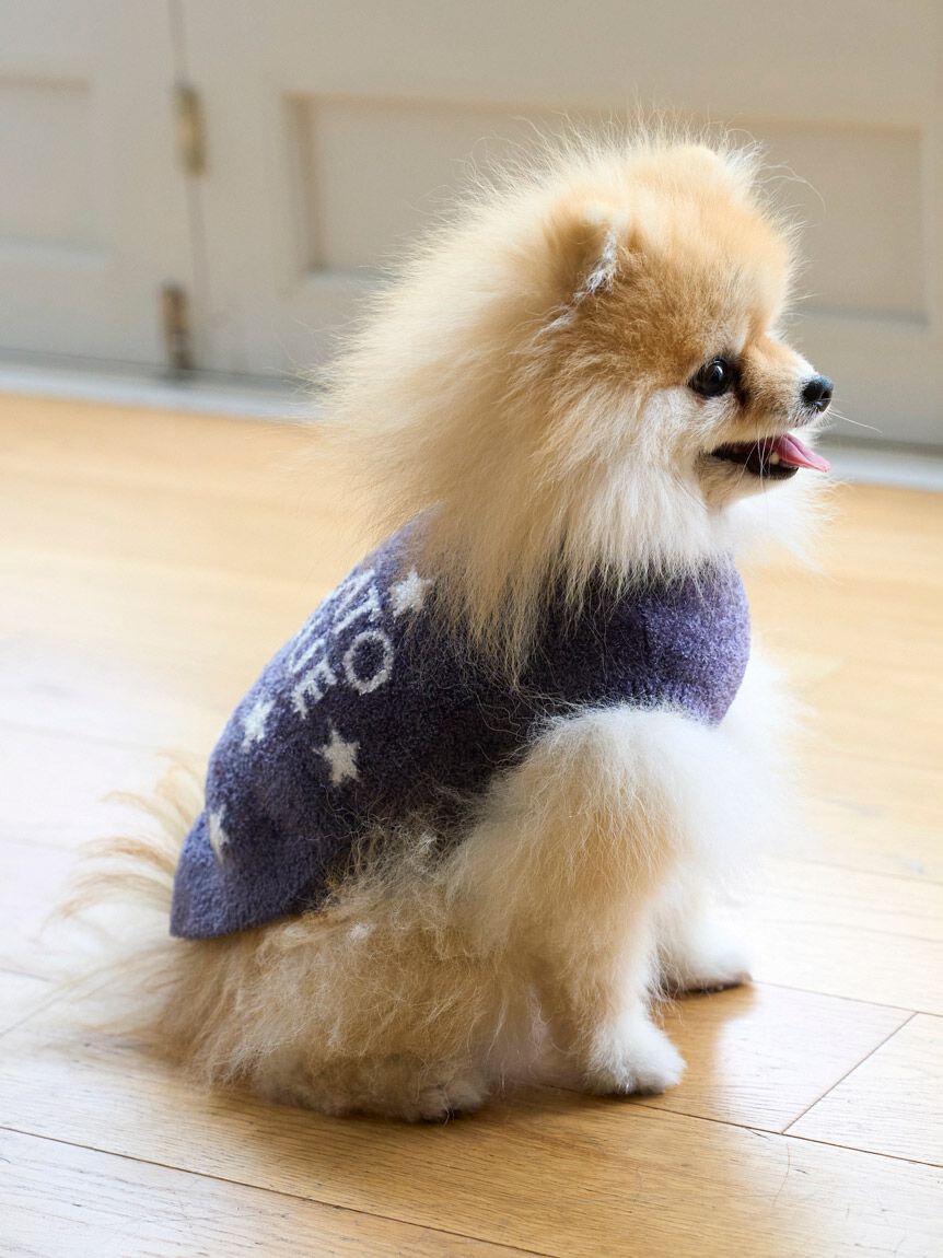  GELATO PIQUE CAT&DOG「【CAT&DOG】スター柄ノースリーブプルオーバー」|その他|