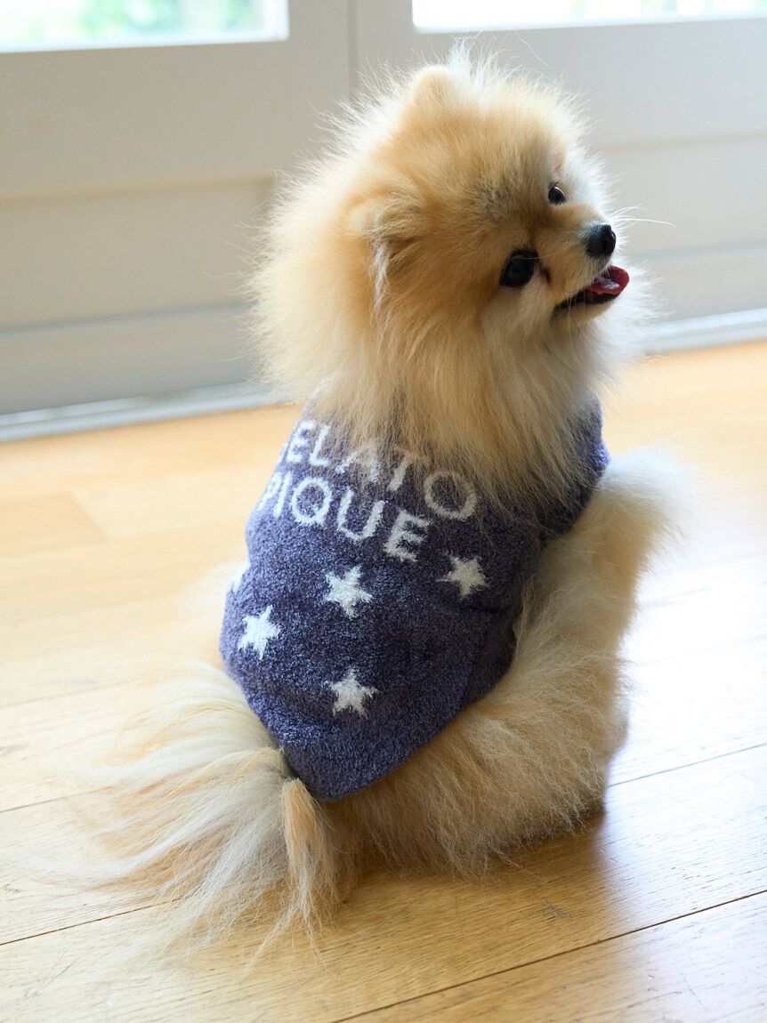  GELATO PIQUE CAT&DOG「【CAT&DOG】スター柄ノースリーブプルオーバー」|その他|NVY