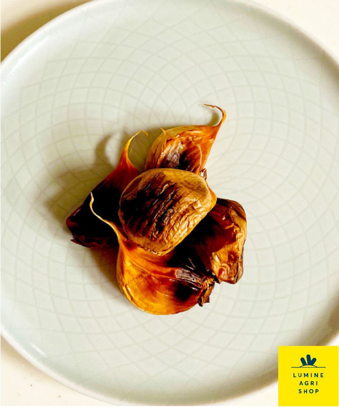 LUMINE AGRI SHOP「青森県熟成黒にんにく（わけあり）4パック」|果物・野菜|