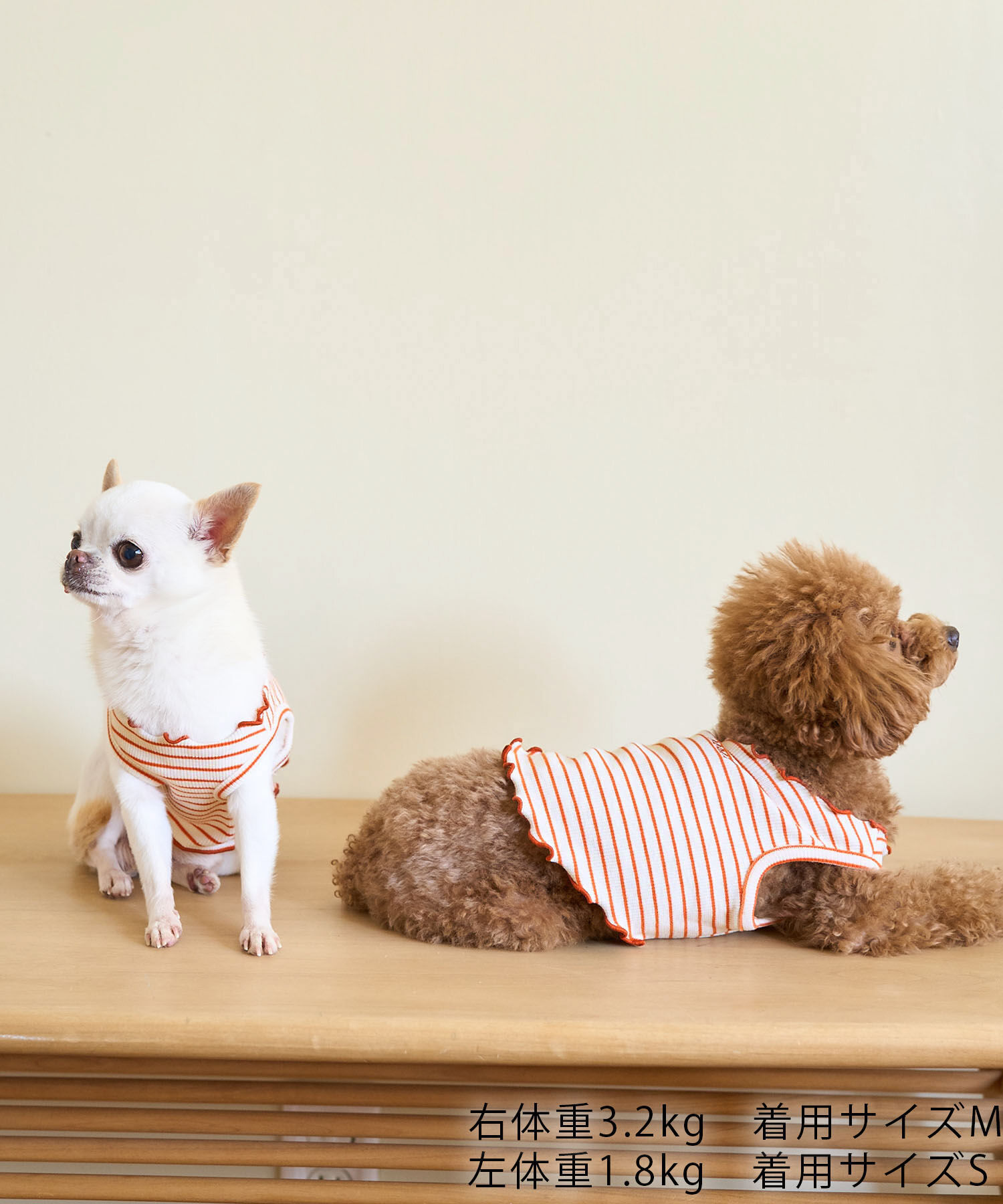 ROPE PICNIC PASSAGE「【DOG】マルチメロウボーダートップス/リンクコーデ」|その他|