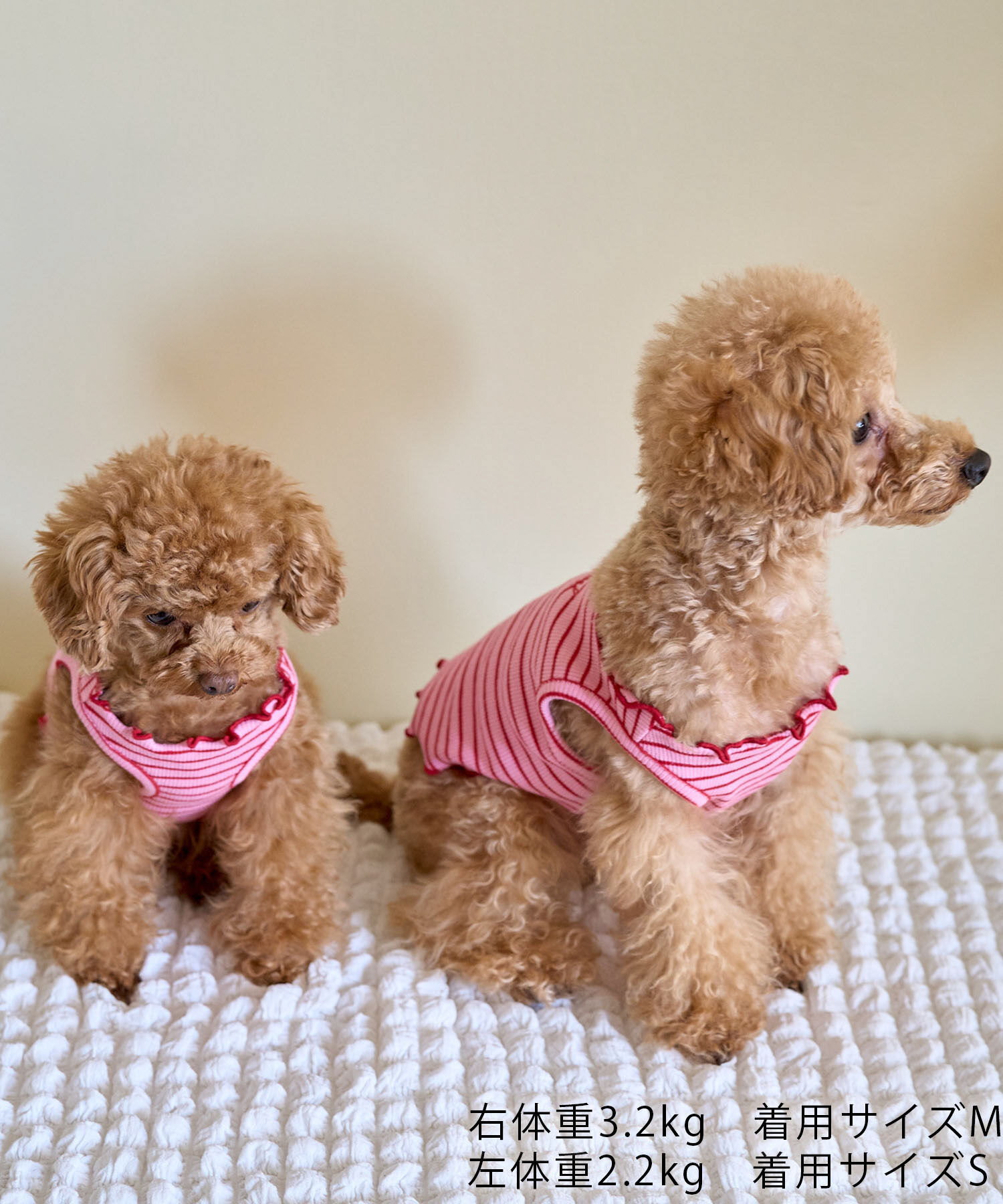 ROPE PICNIC PASSAGE「【DOG】マルチメロウボーダートップス/リンクコーデ」|その他|