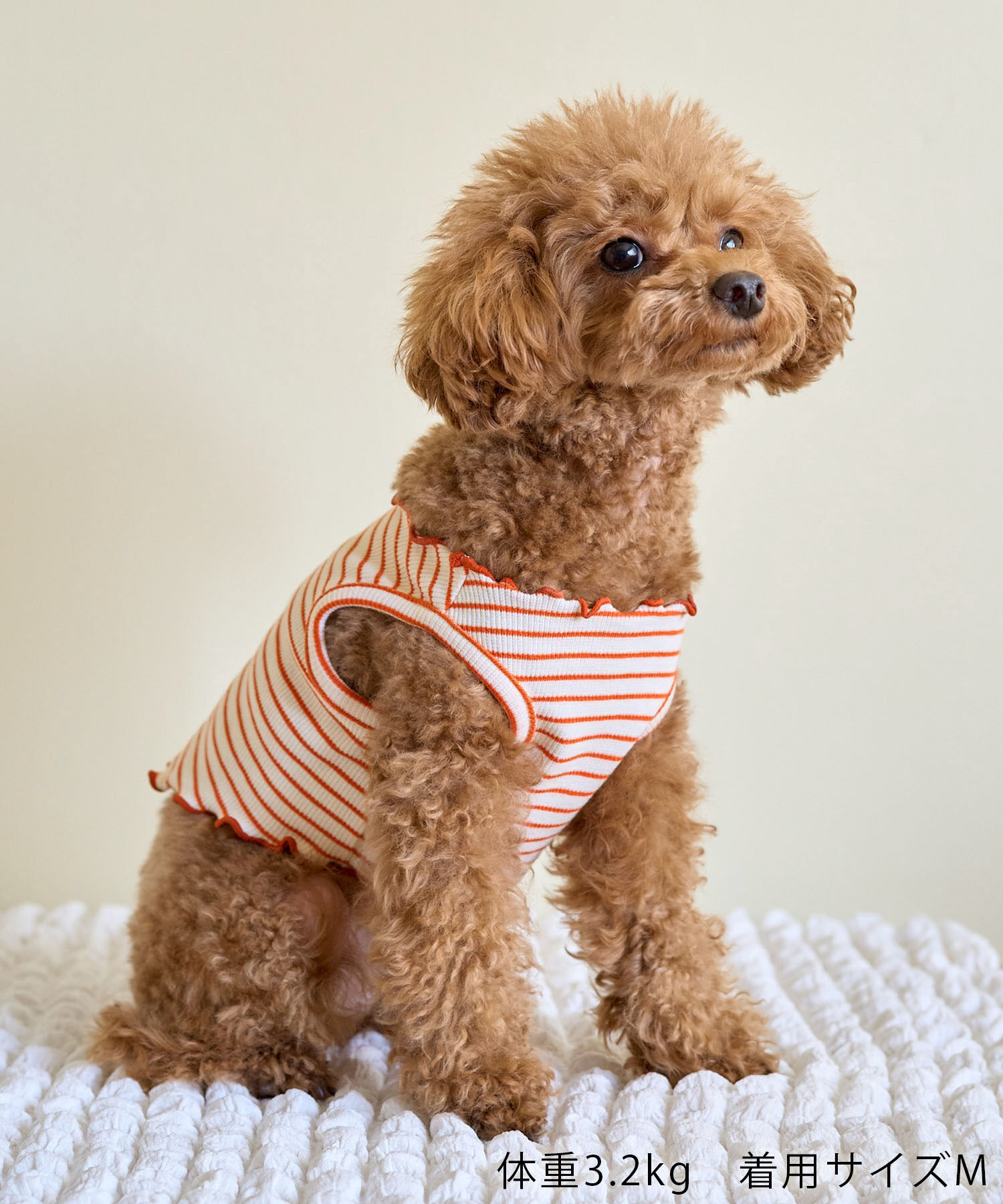 ROPE PICNIC PASSAGE「【DOG】マルチメロウボーダートップス/リンクコーデ」|その他|