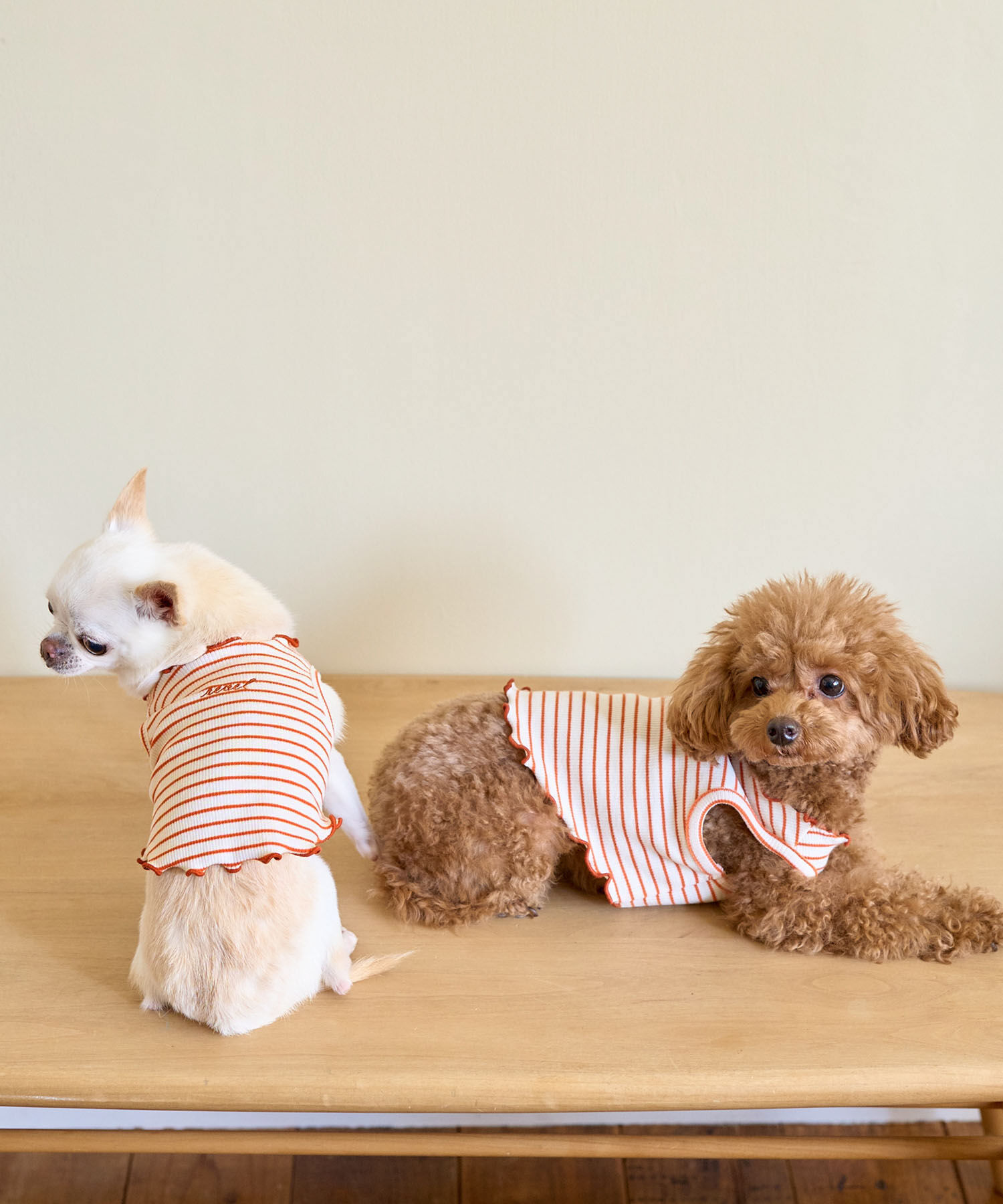 ROPE PICNIC PASSAGE「【DOG】マルチメロウボーダートップス/リンクコーデ」|その他|オレンジ系(71)