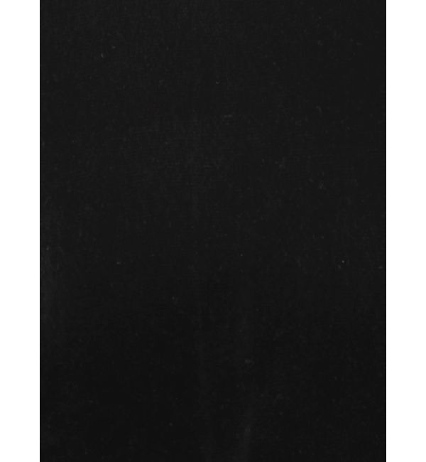 Ungrid「シアーベロアハイネックロングスリーブTee」|Tシャツ・カットソー|