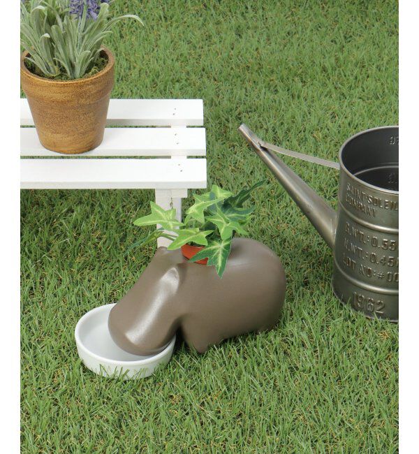 Lbc with Life「ヒポポプラント アップルミント」|その他|