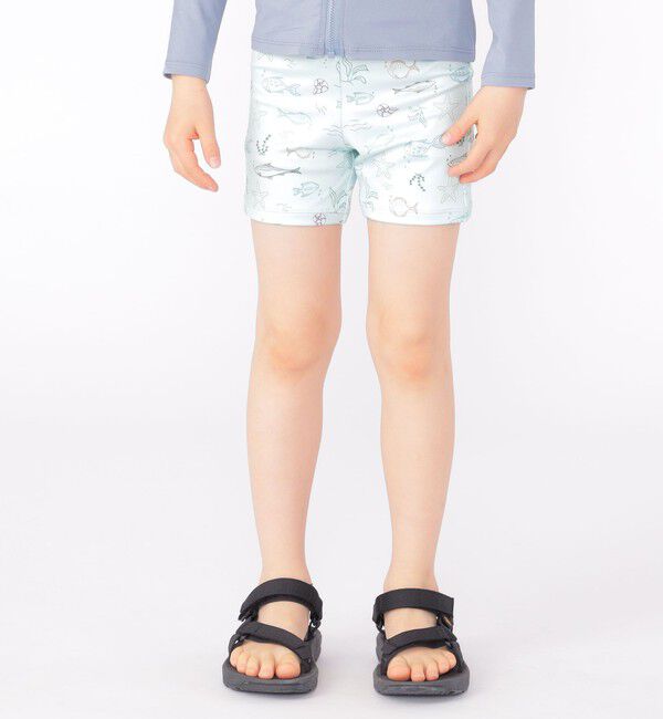 SHIPS KIDS「SHIPS KIDS:90～130cm / シーアニマル スイム ボクサー ショーツ」|その他|サックスブルー