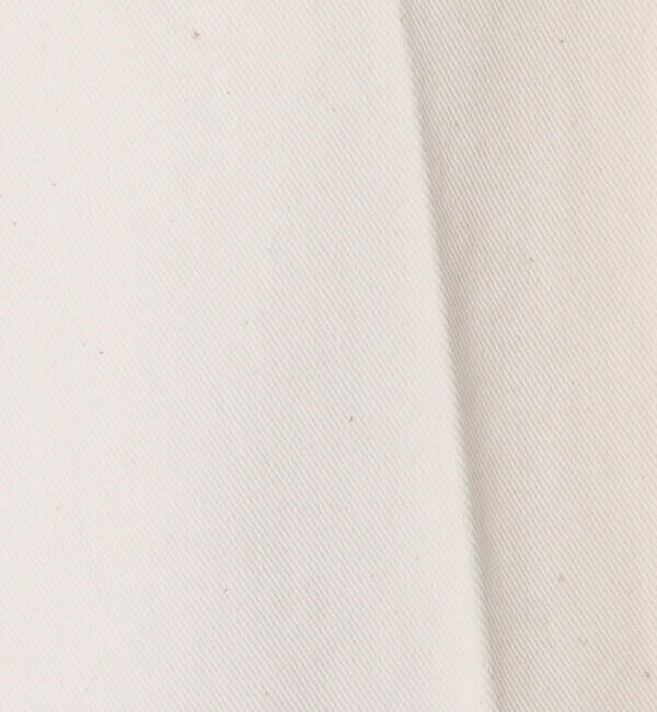 MACPHEE「ピグメントドリルクロス ペインターパンツ」|チノ|