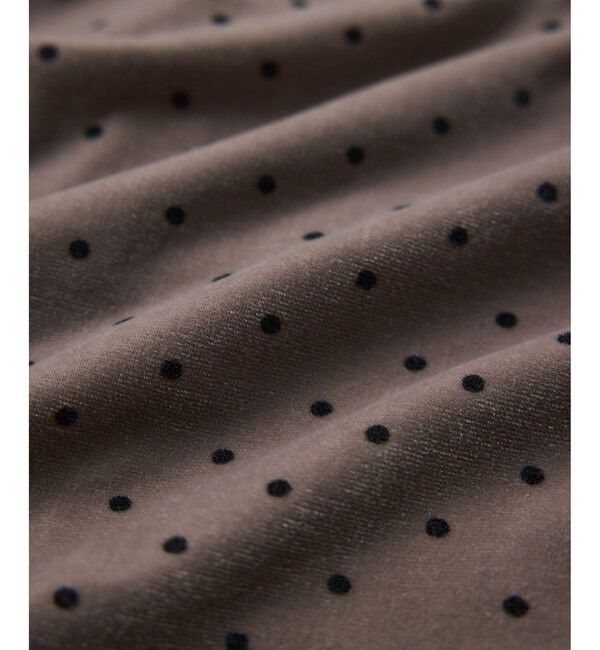 VIS「ベロアボウタイドットカットソー」|Tシャツ・カットソー|