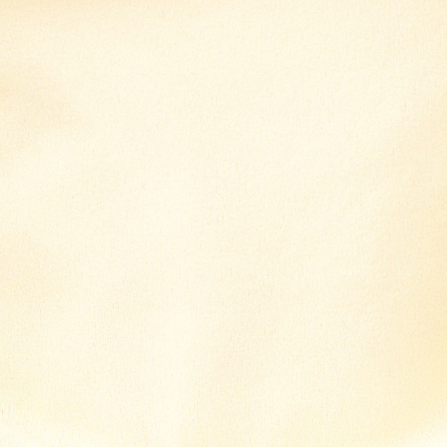 OPAQUE.CLIP「シアーハイネックトップス【洗濯機OK】」|Tシャツ・カットソー|