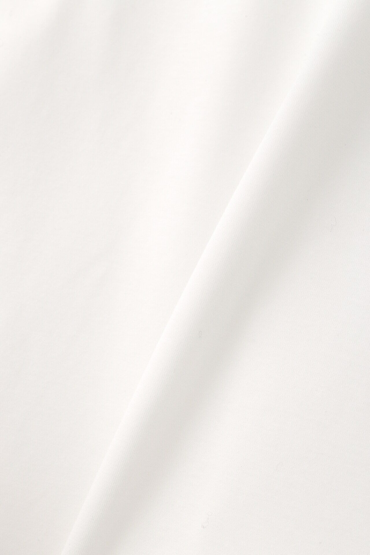  「◆Ｃ／ＰＥハイゲージプレーティング天竺カットソー」|Tシャツ・カットソー|