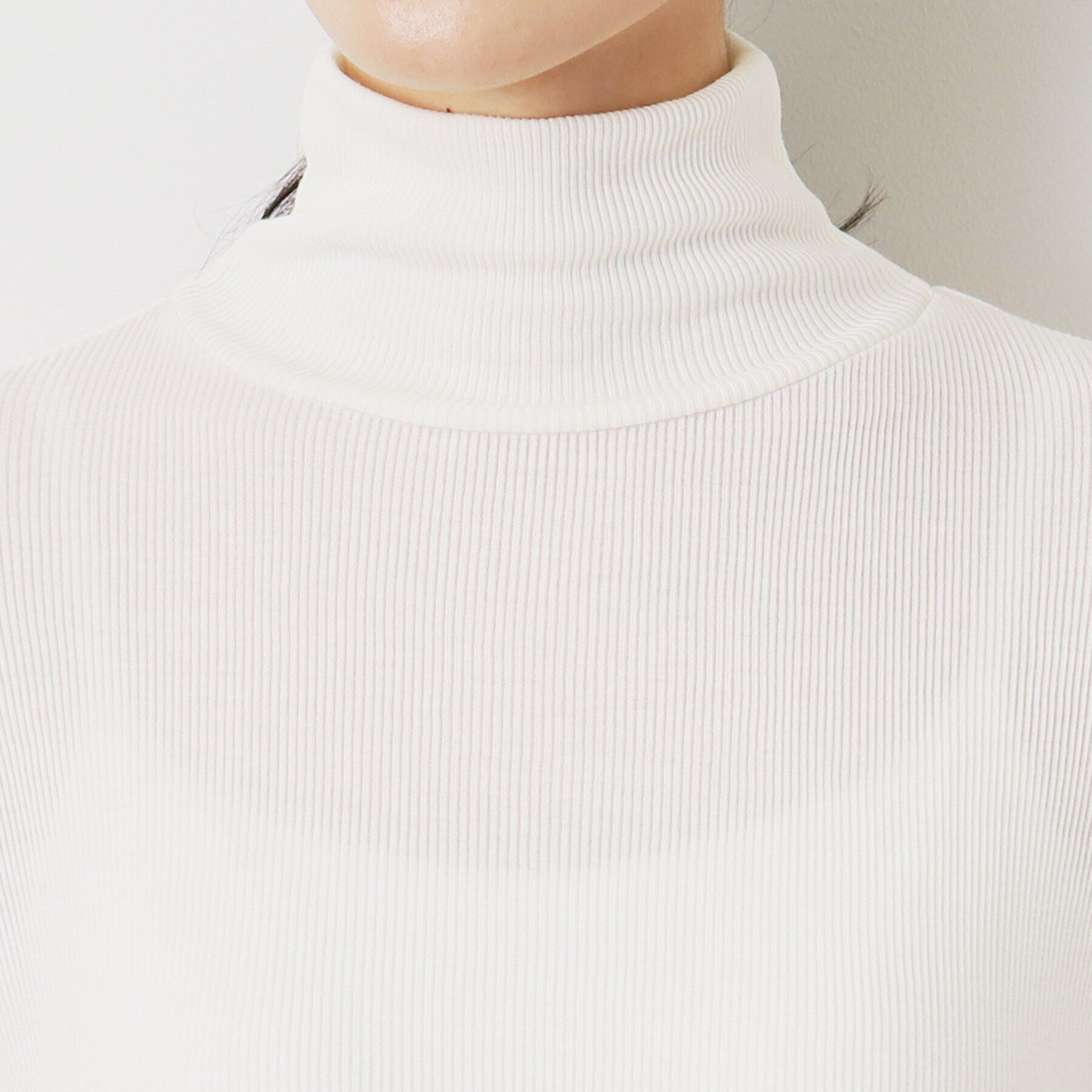 Dessin「リブタートルネックロングスリーブ」|Tシャツ・カットソー|