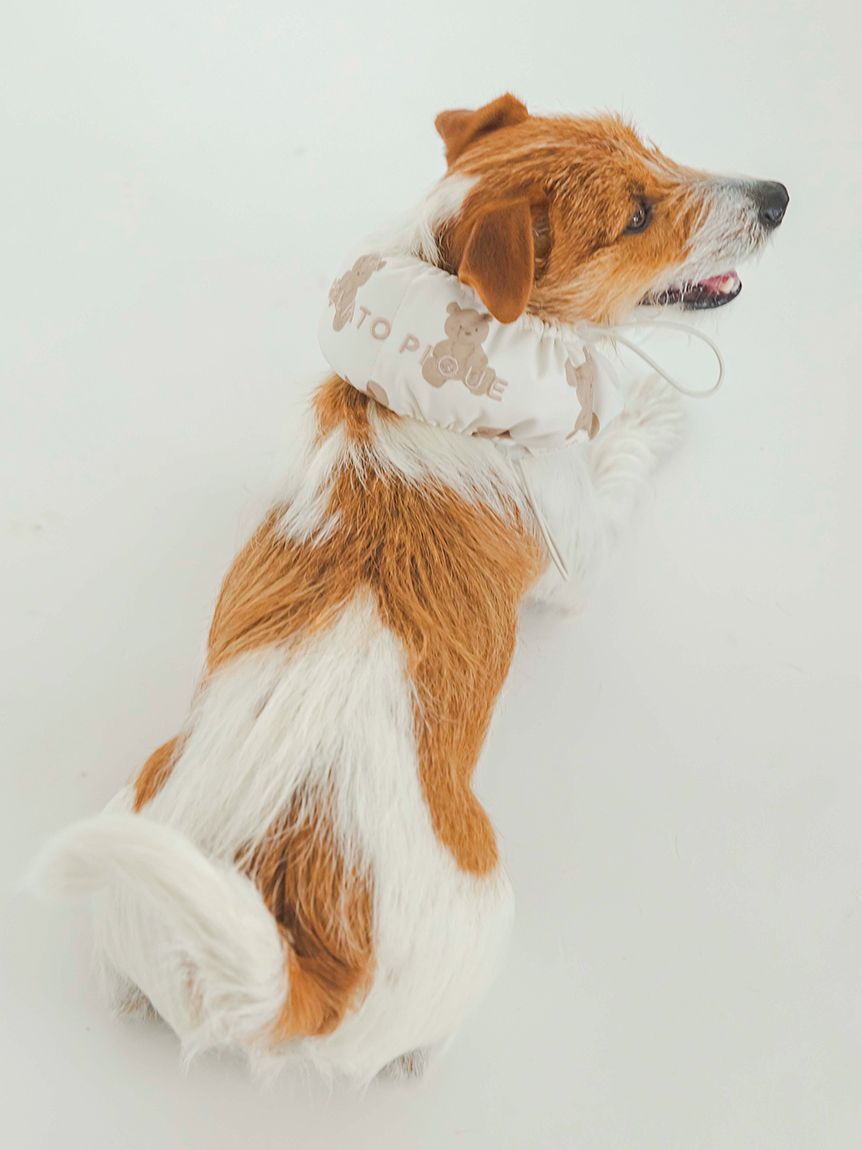  GELATO PIQUE CAT&DOG「【CAT&DOG】【販路限定商品】COOLネックカバー」|その他|