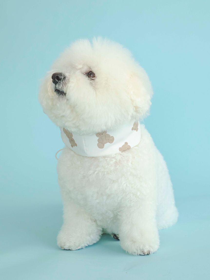  GELATO PIQUE CAT&DOG「【CAT&DOG】【販路限定商品】COOLネックカバー」|その他|