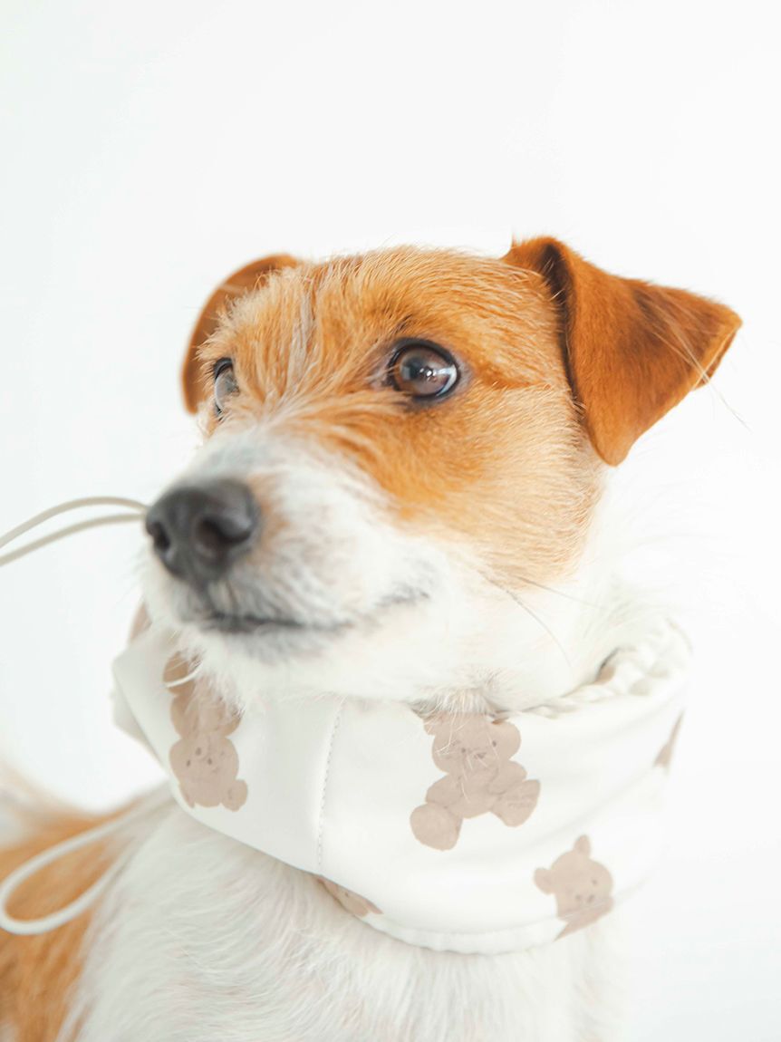  GELATO PIQUE CAT&DOG「【CAT&DOG】【販路限定商品】COOLネックカバー」|その他|