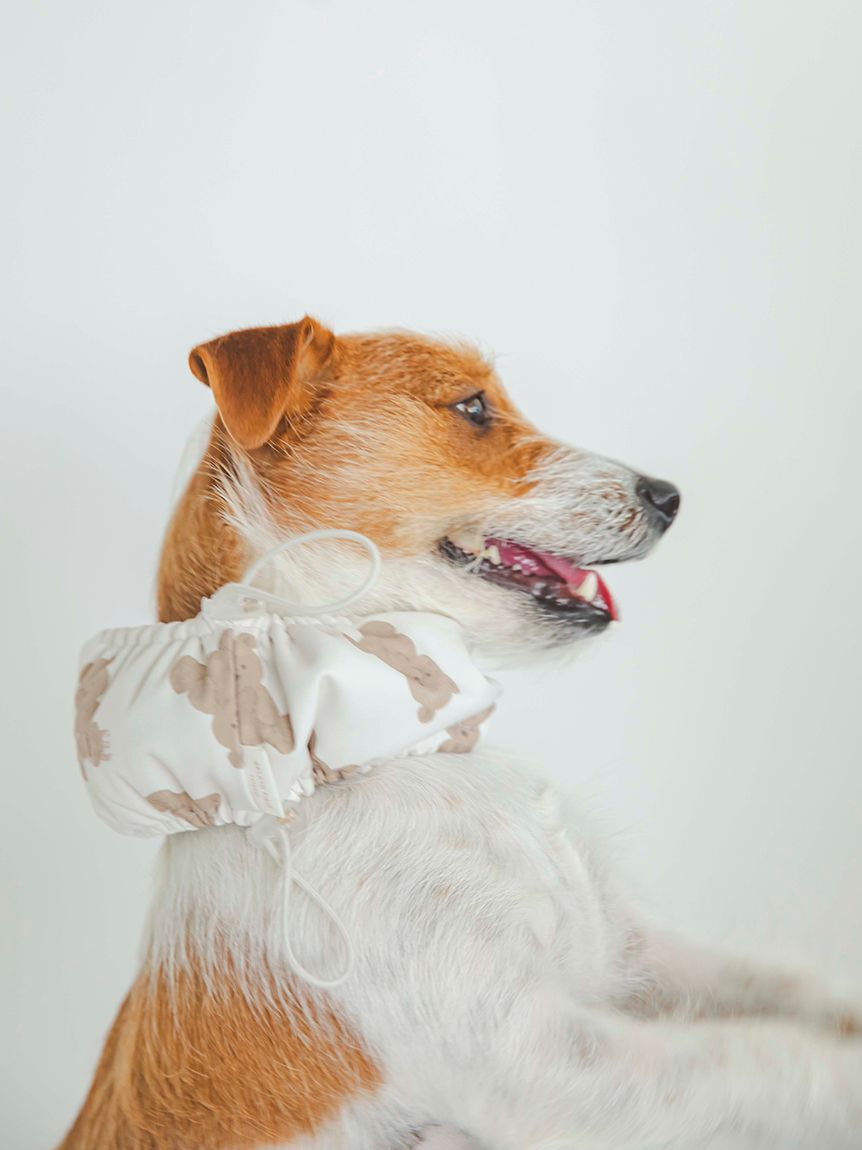  GELATO PIQUE CAT&DOG「【CAT&DOG】【販路限定商品】COOLネックカバー」|その他|