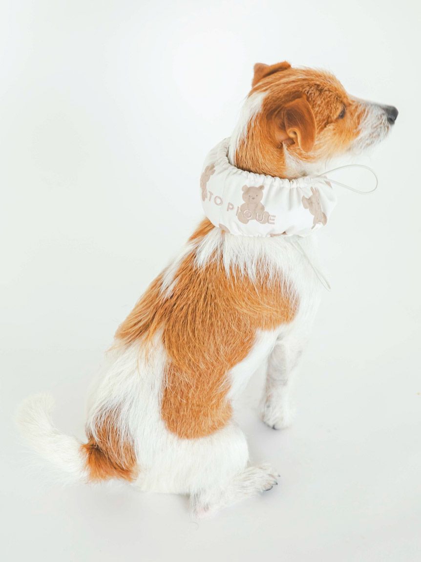 GELATO PIQUE CAT&DOG「【CAT&DOG】【販路限定商品】COOLネックカバー」|その他|