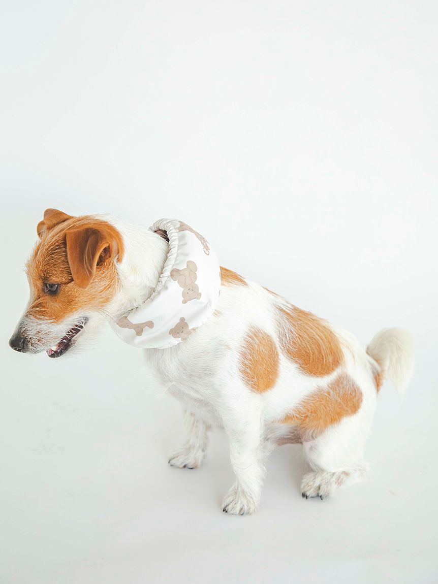  GELATO PIQUE CAT&DOG「【CAT&DOG】【販路限定商品】COOLネックカバー」|その他|