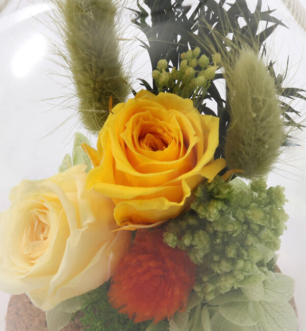 fleurage un「ガラスドーム型プリザーブドフラワー入りアレンジメント〈イエロー〉」|その他|