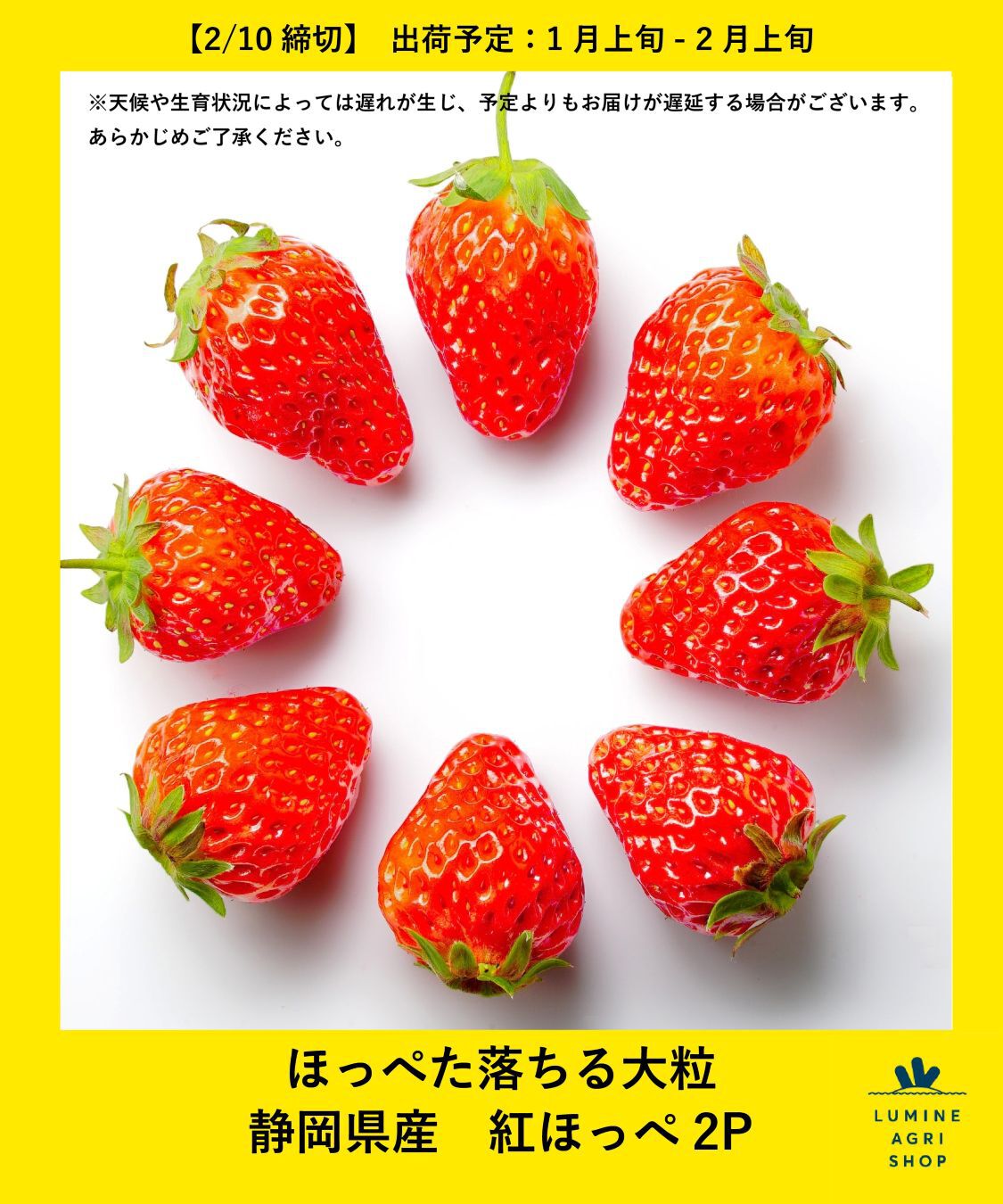 LUMINE AGRI SHOP「ほっぺた落ちる大粒　静岡県産紅ほっぺ2P」|果物・野菜|その他