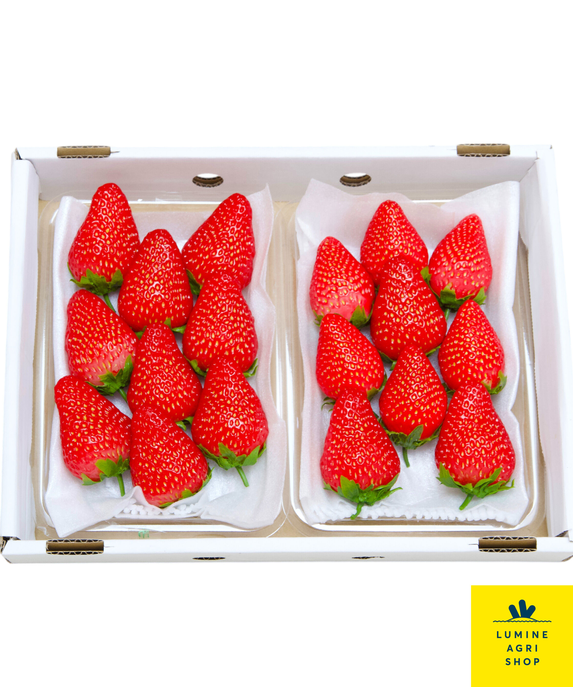 LUMINE AGRI SHOP「ほっぺた落ちる大粒　静岡県産紅ほっぺ2P」|果物・野菜|