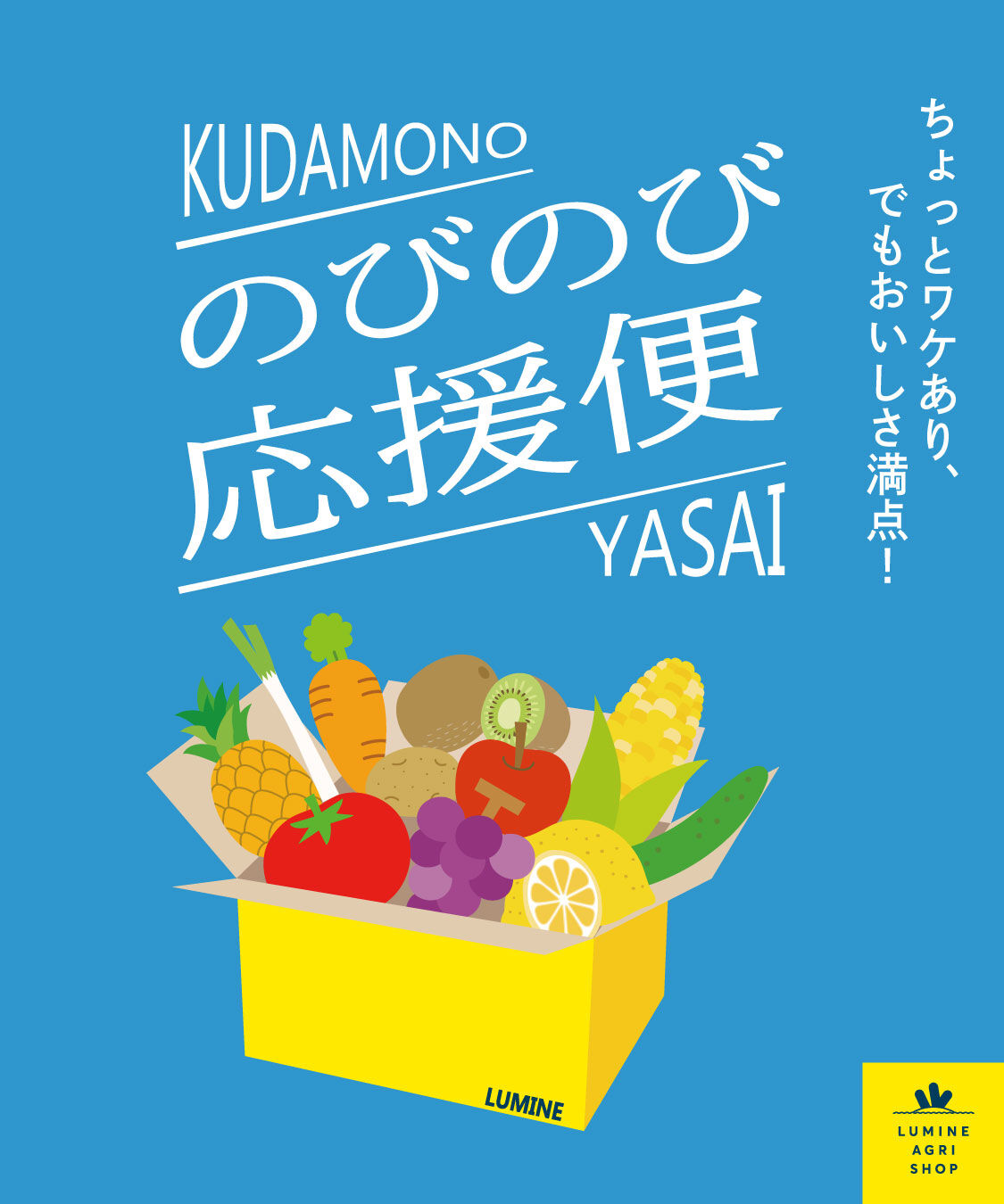 LUMINE AGRI SHOP「【のびのび応援便】稲角さん家の失恋レモン」|果物・野菜|